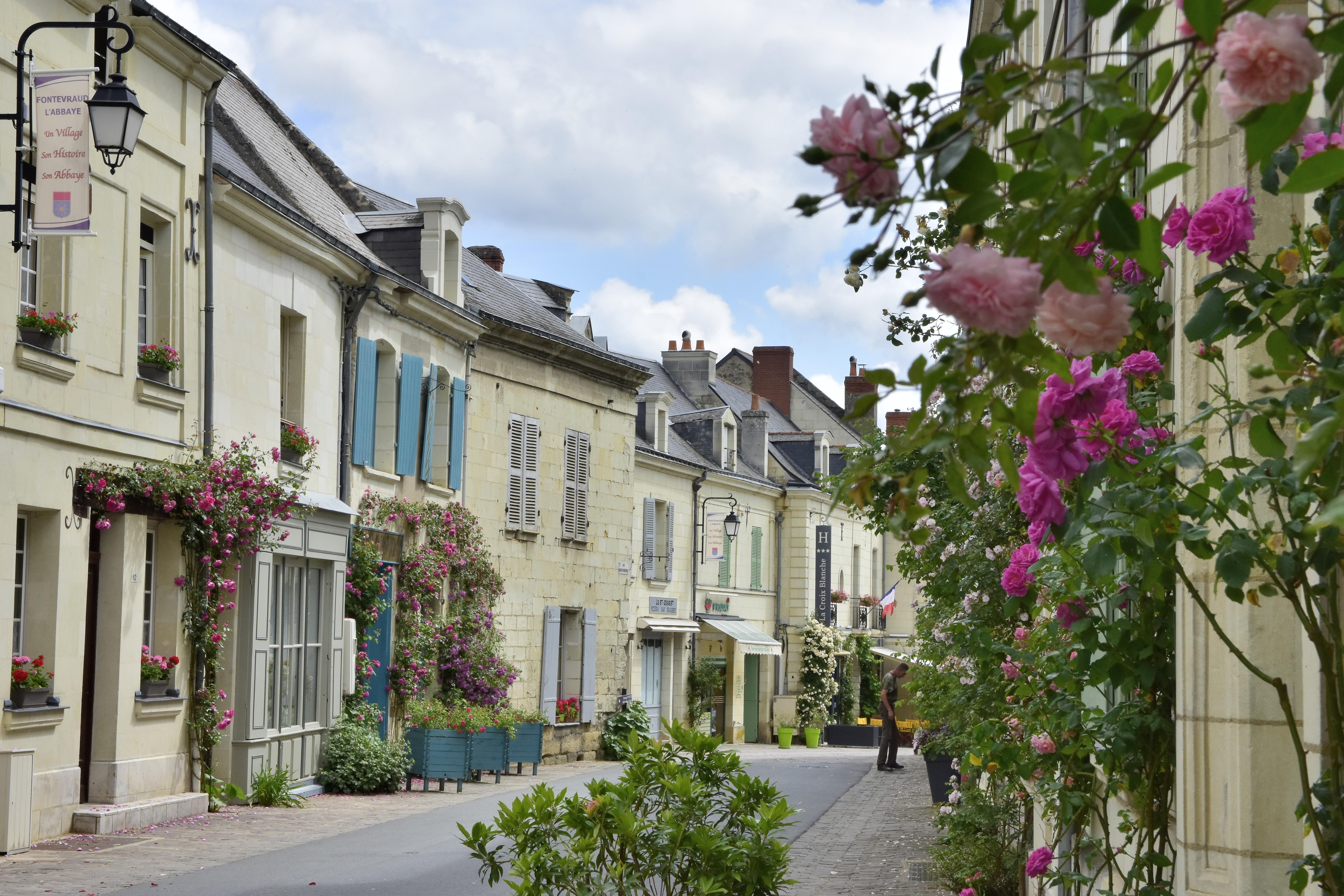 Logis Hotel La Croix Blanche Fontevraud Exteriör bild